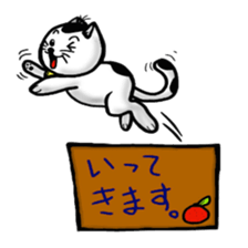 3527227