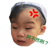 35272364
