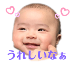 352812264