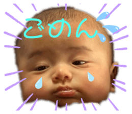 352812265