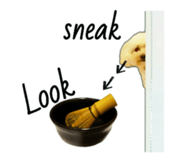 35286591