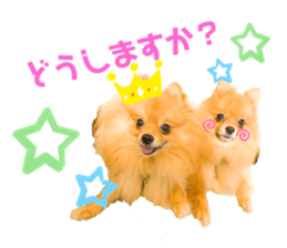 352921655