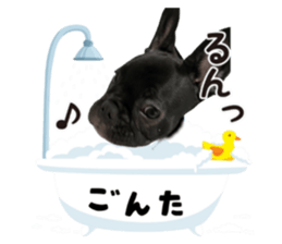352931706