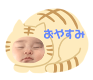 352938335