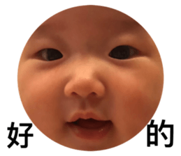 352972726