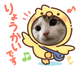 353002290