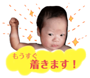 353012575