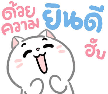 ลายที่ 24