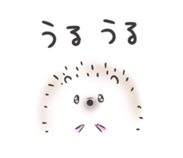 35313320