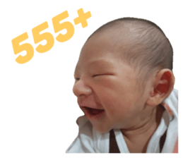 35313575