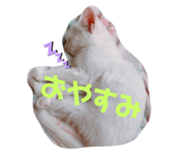 353140320