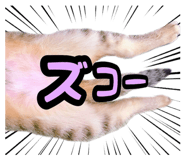 353162621