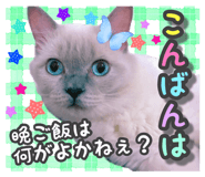 353162626