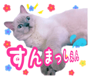 353162627
