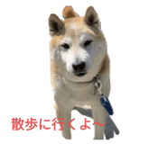 353168184