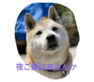353168189