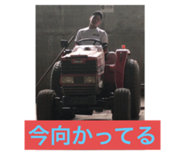 353231167