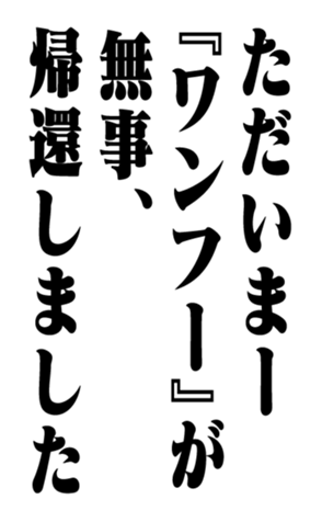353321904