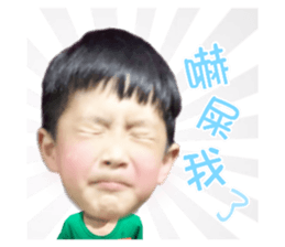 353323043