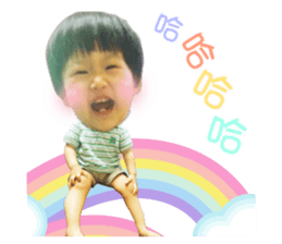 353323050