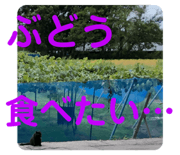 353325480