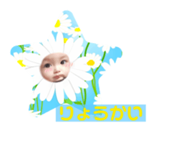 353353488