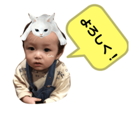 353353493