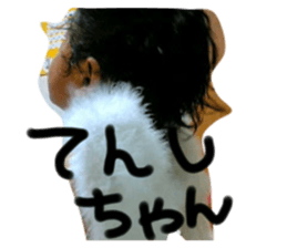 353359717
