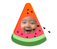 353376069