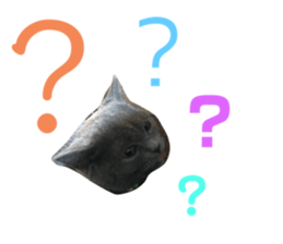 353387941