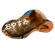 353395128