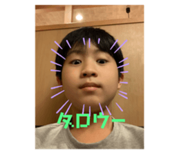 353395513