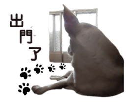 353411946