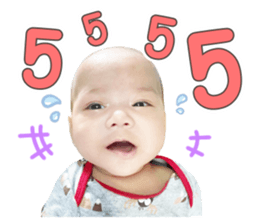 353440040