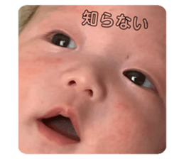 353464013