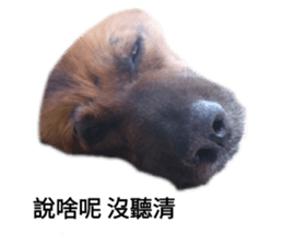 353466776