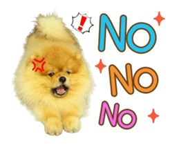 353543155
