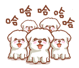 瑪爾濟斯 同名專輯 Yabe Line貼圖代購 台灣no 1 最便宜高效率的代購網