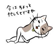 3535672