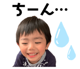 353600311