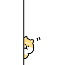 35360194
