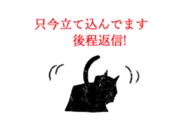 3536086