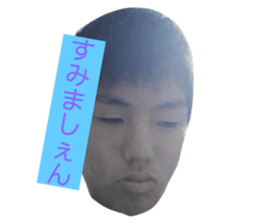 353611731