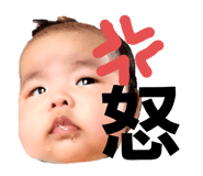 353625447