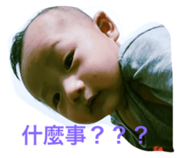35363258