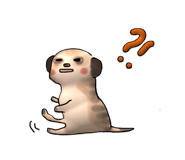 353636336