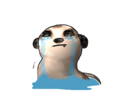 353636345