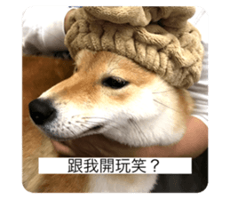 353639612