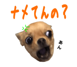 353653841