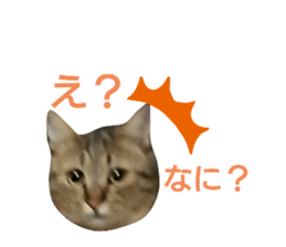 353685884